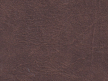 Throne bison 140 cm  30 lfm pro Rolle